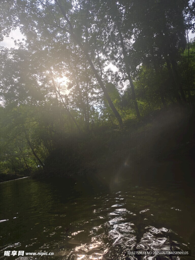 林间河畔晨光美景