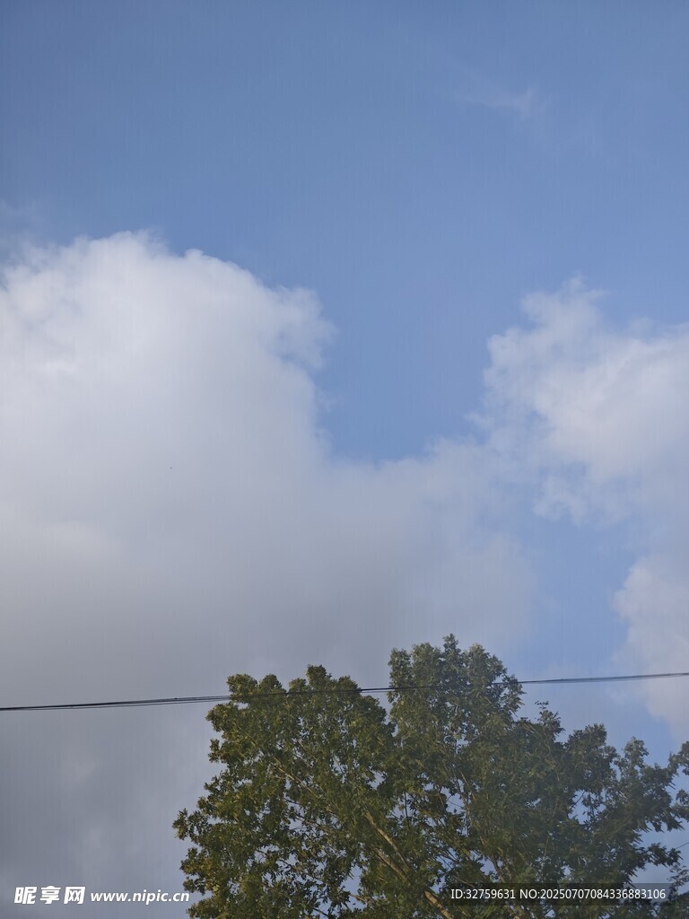 蓝天绿树间的白云
