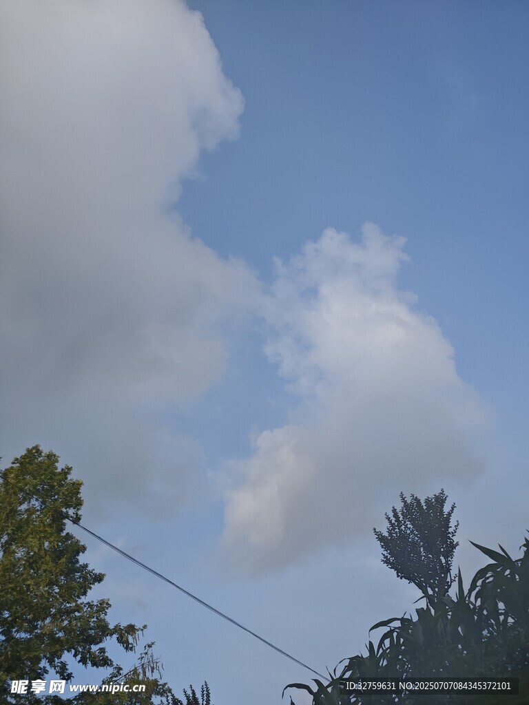 蓝天绿树间的白云