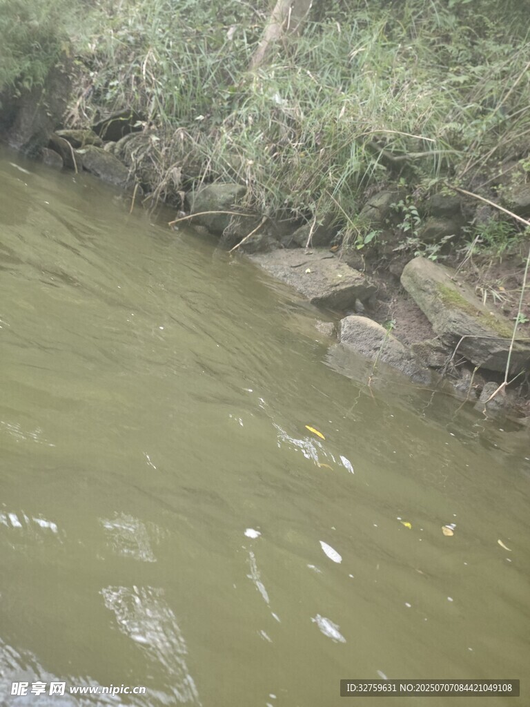 浑浊河水中漂浮着垃圾