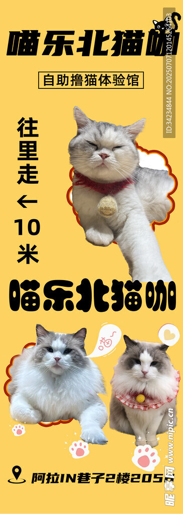 猫咖海报