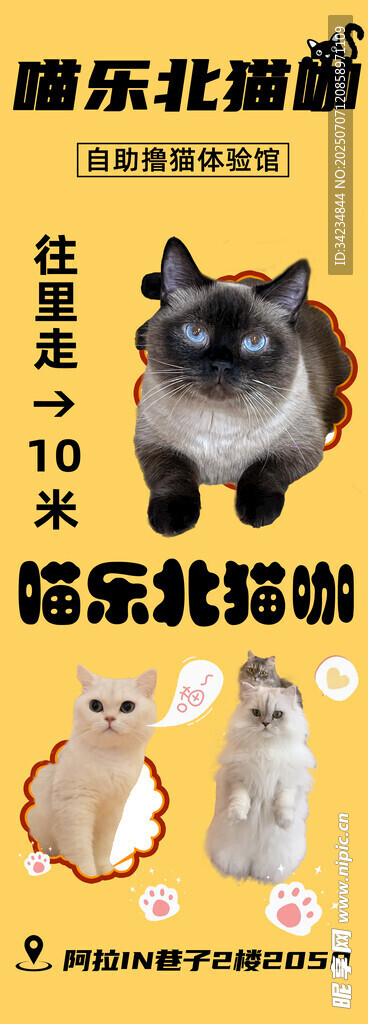 可爱猫咪海报