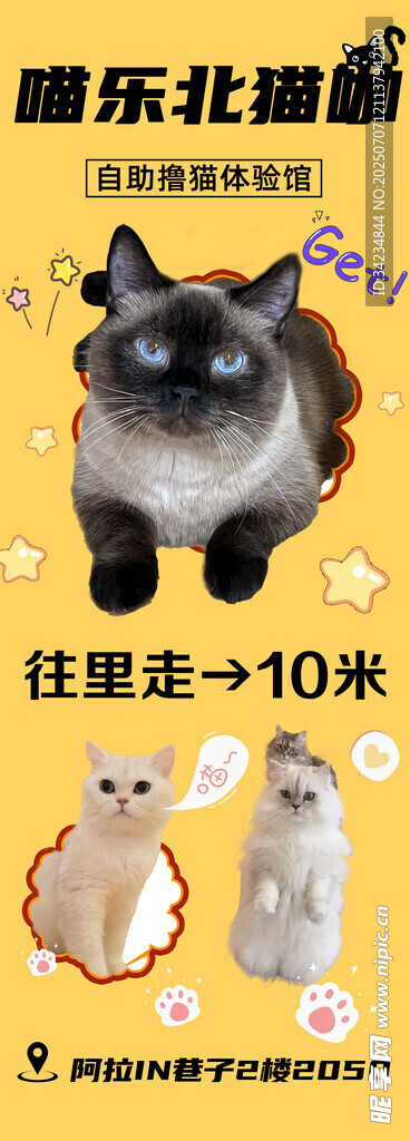 小猫馆海报