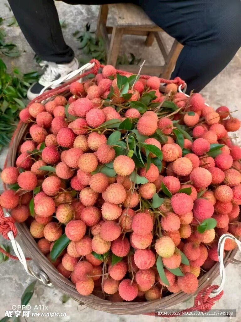 荔枝