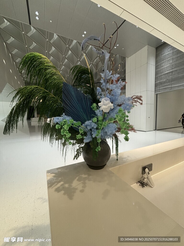 室内精致绿植花卉装饰