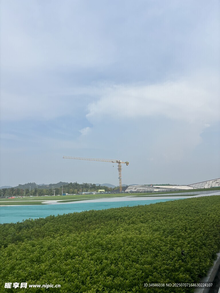绿色植被与远处水域景观