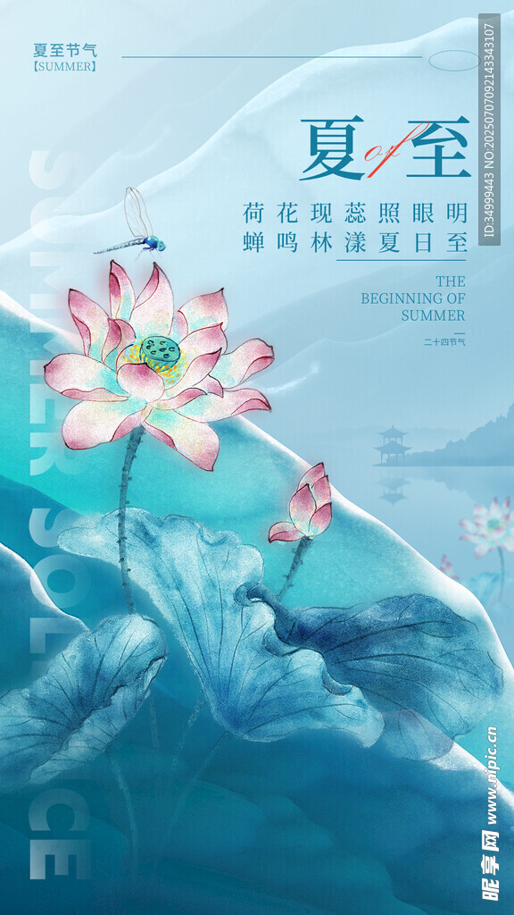 夏至荷花图