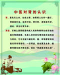中医对肾的认识科普海报