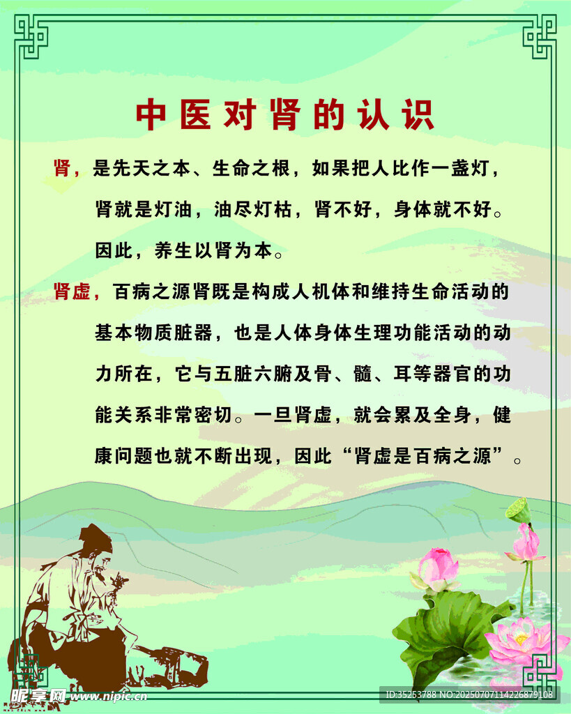 中医对肾的认识科普海报