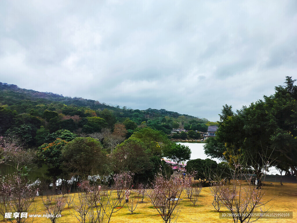 山间田园风光景色