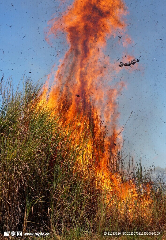 野外草地熊熊燃烧的大火