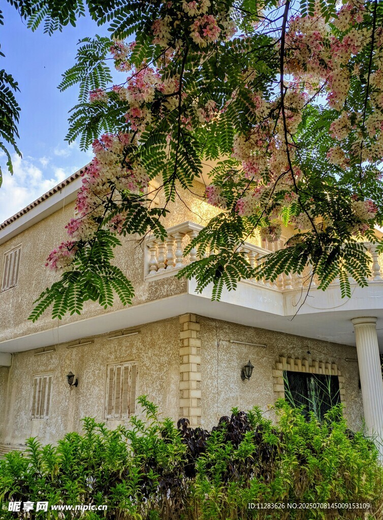庭院繁花与建筑景致