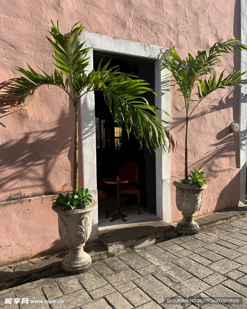 粉色建筑前的绿植盆栽