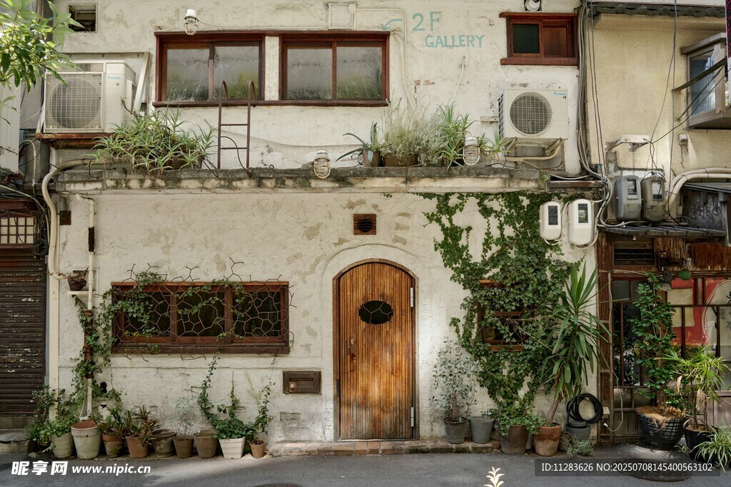 复古绿植环绕的温馨小屋