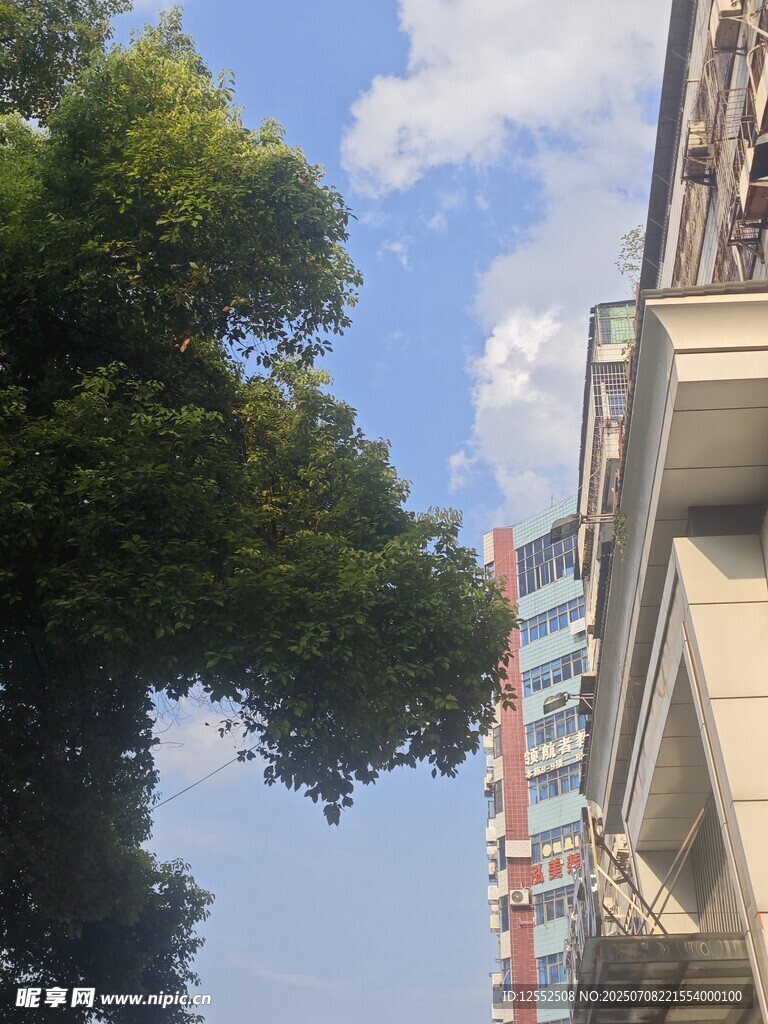 绿树旁的建筑一角