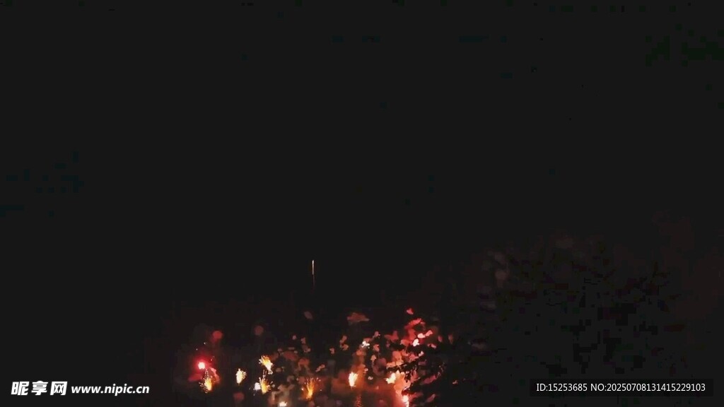 夜空中绚烂的烟花绽放