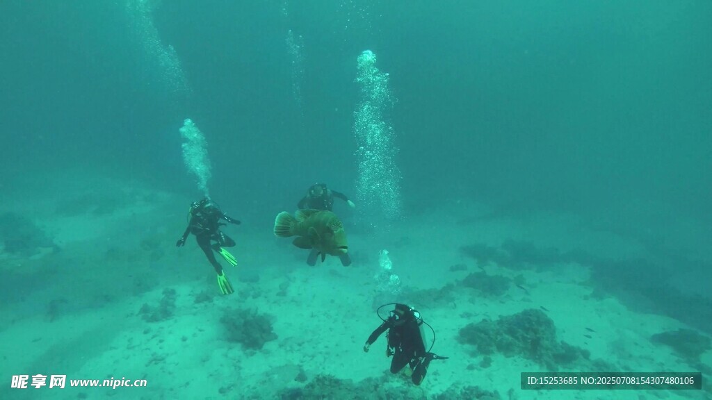 海底潜水员探索美丽世界