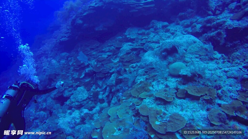 潜水员探索海底珊瑚礁