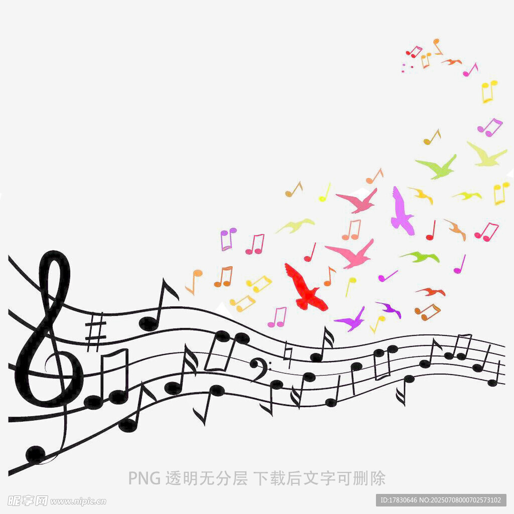 音符与飞鸟共舞的音乐世界