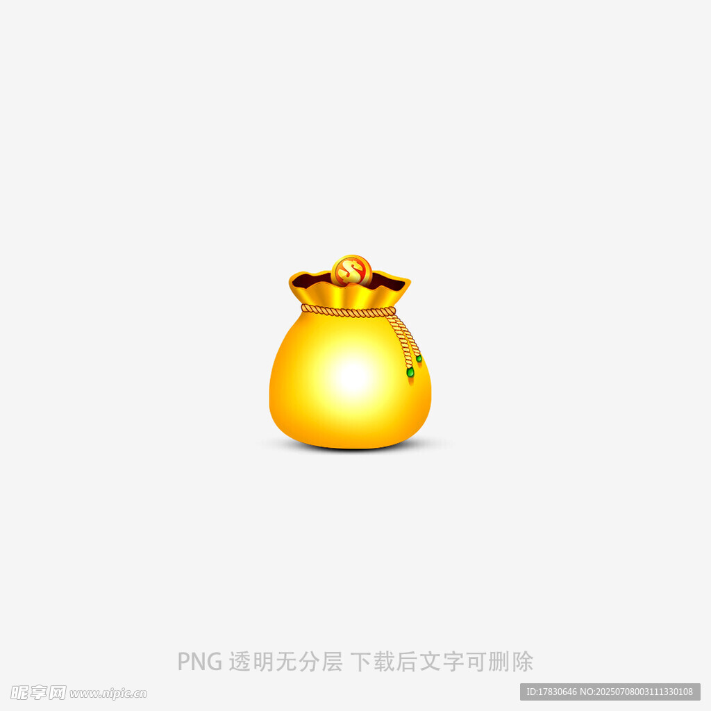 金色钱袋图标