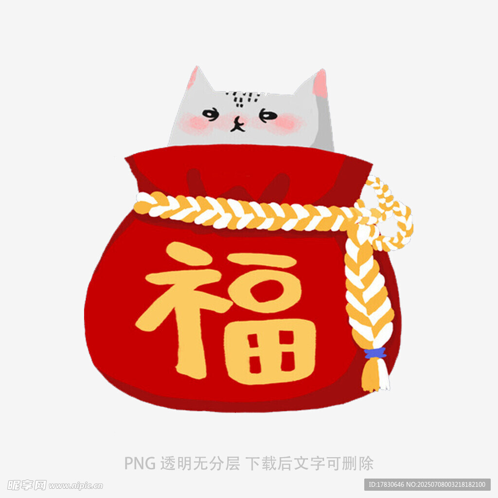 福袋中的可爱猫咪