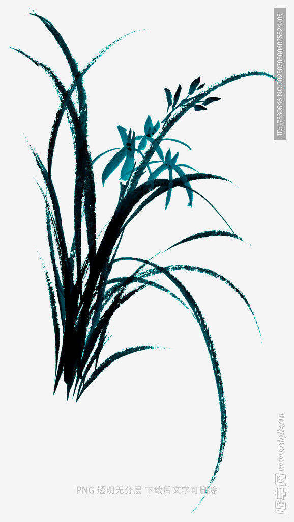 兰花
