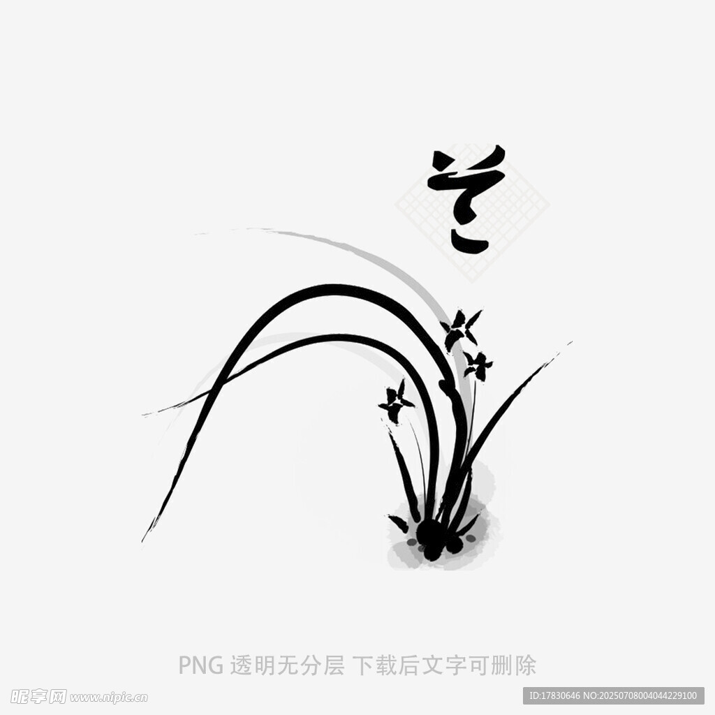 兰花