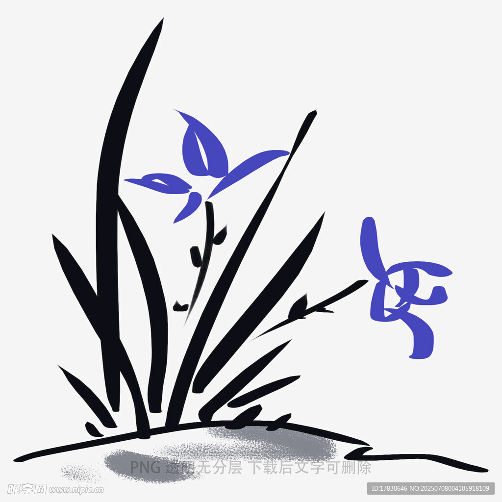 兰花