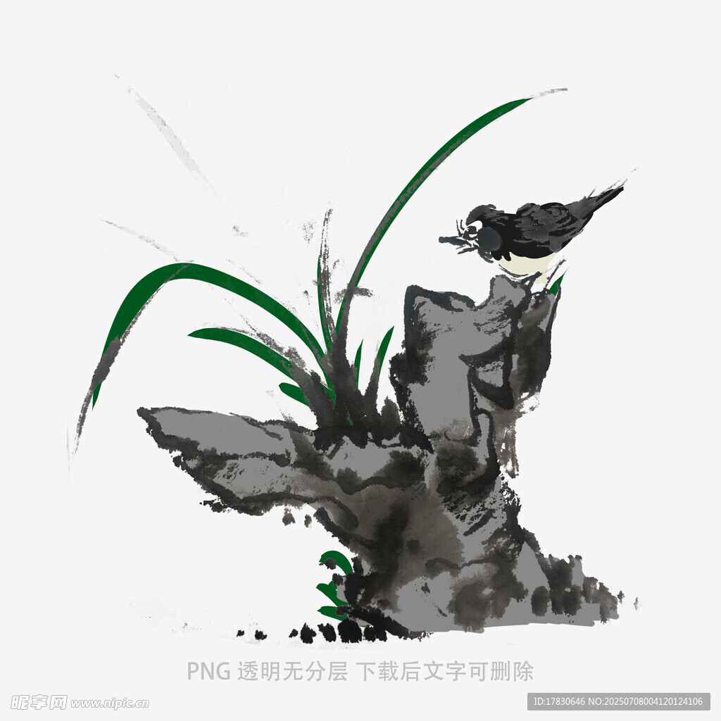 兰花