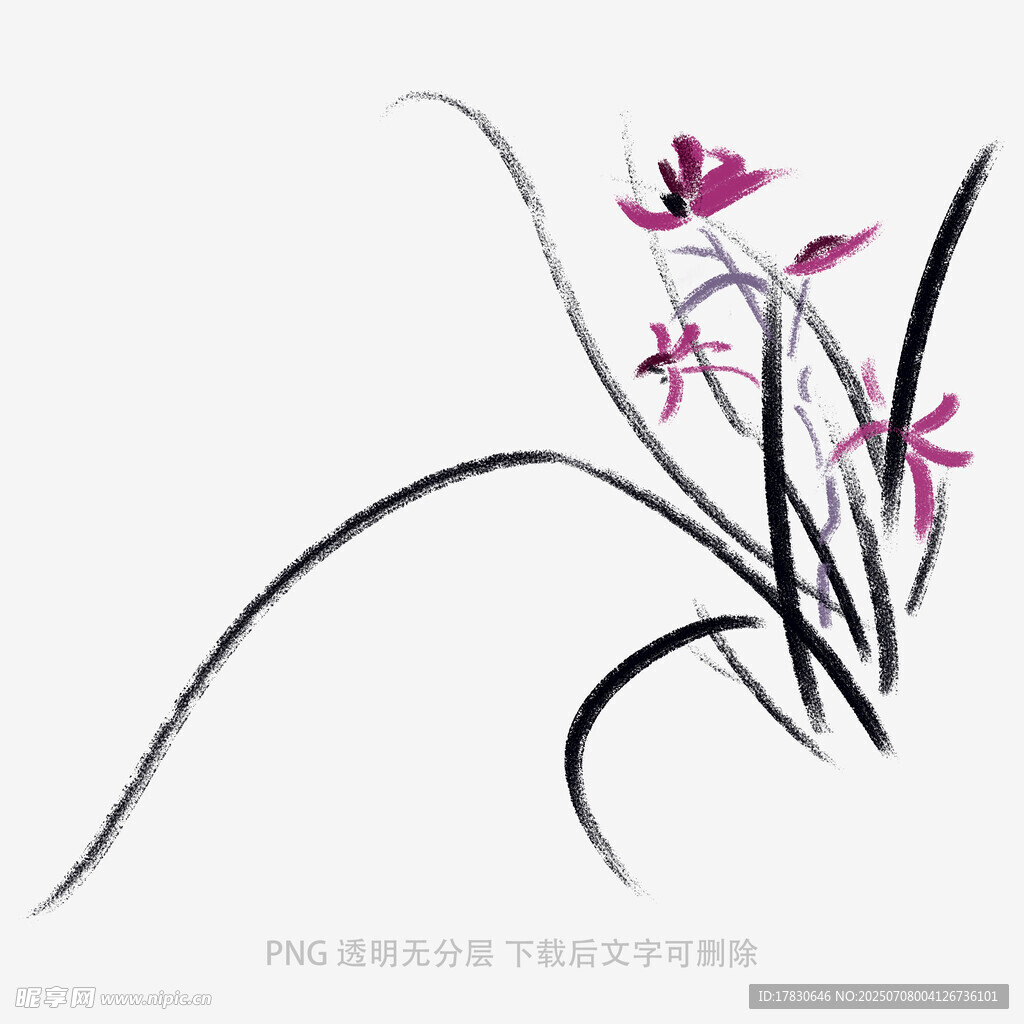 兰花