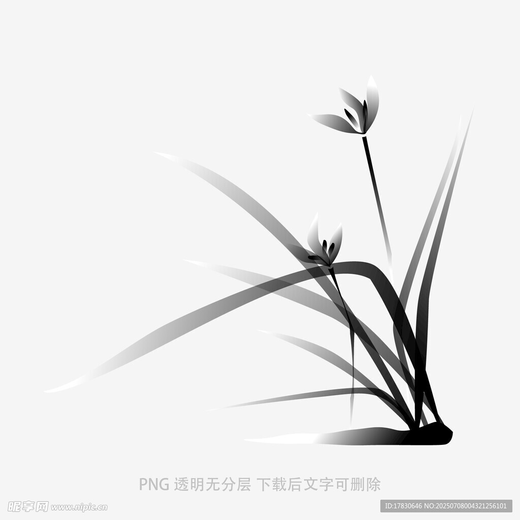 兰花设计图__PSD分层素材_PSD分层素材_设计图库_昵图网