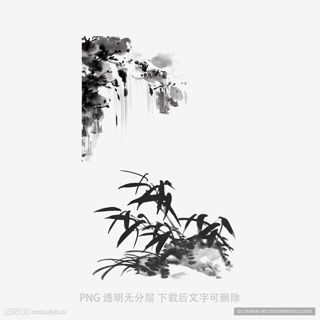 兰花