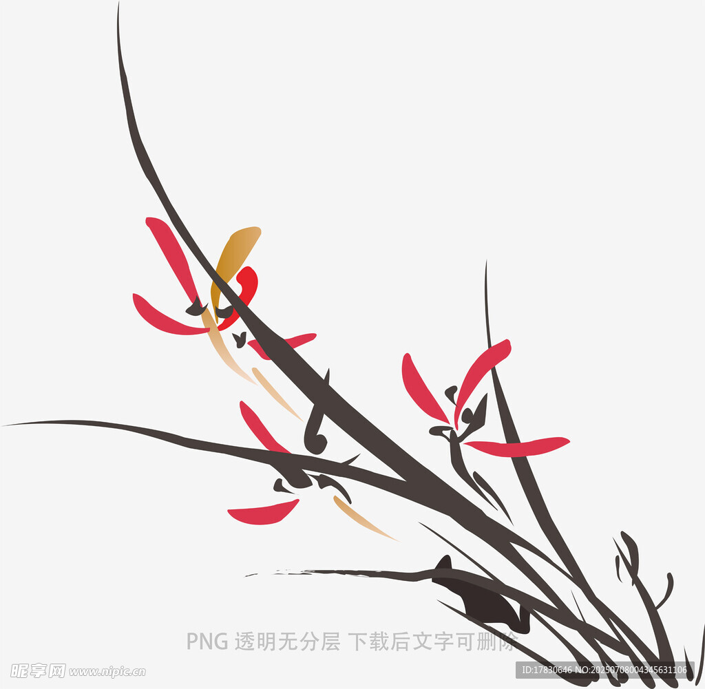 兰花
