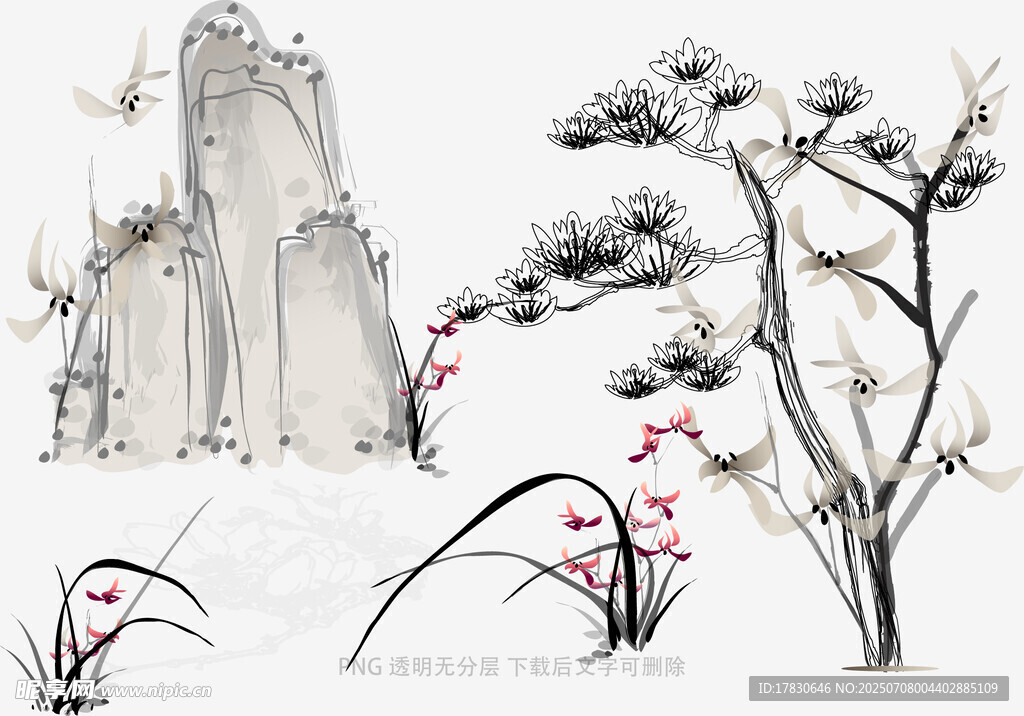 兰花