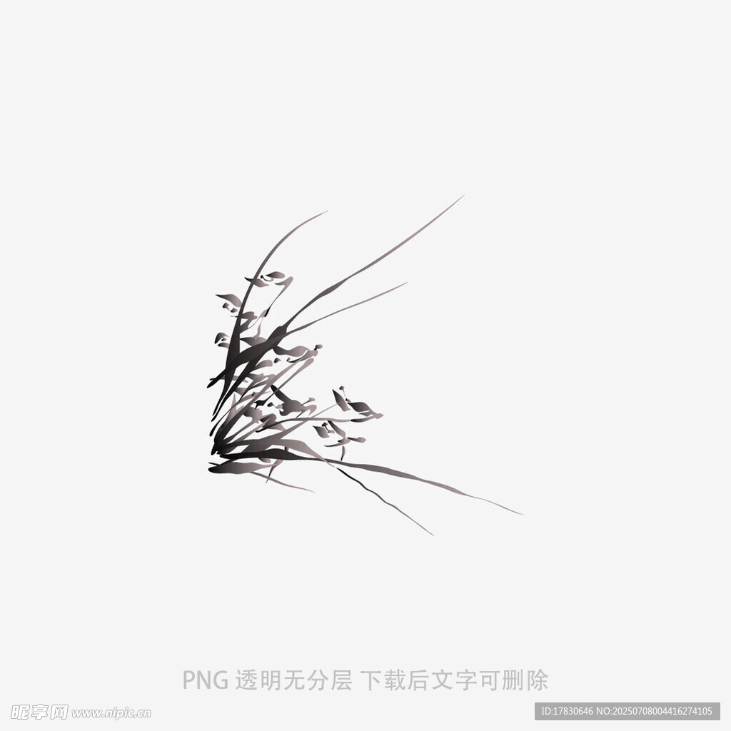 兰花