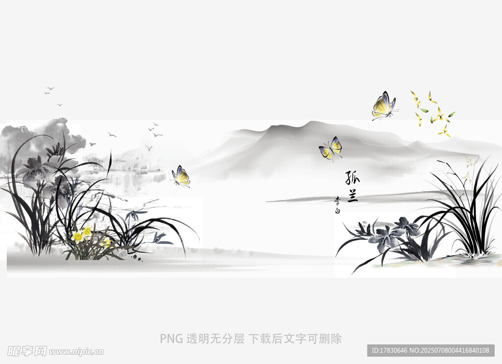 兰花