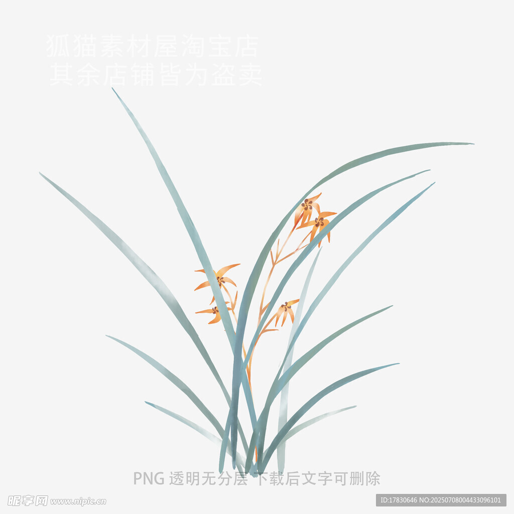 兰花