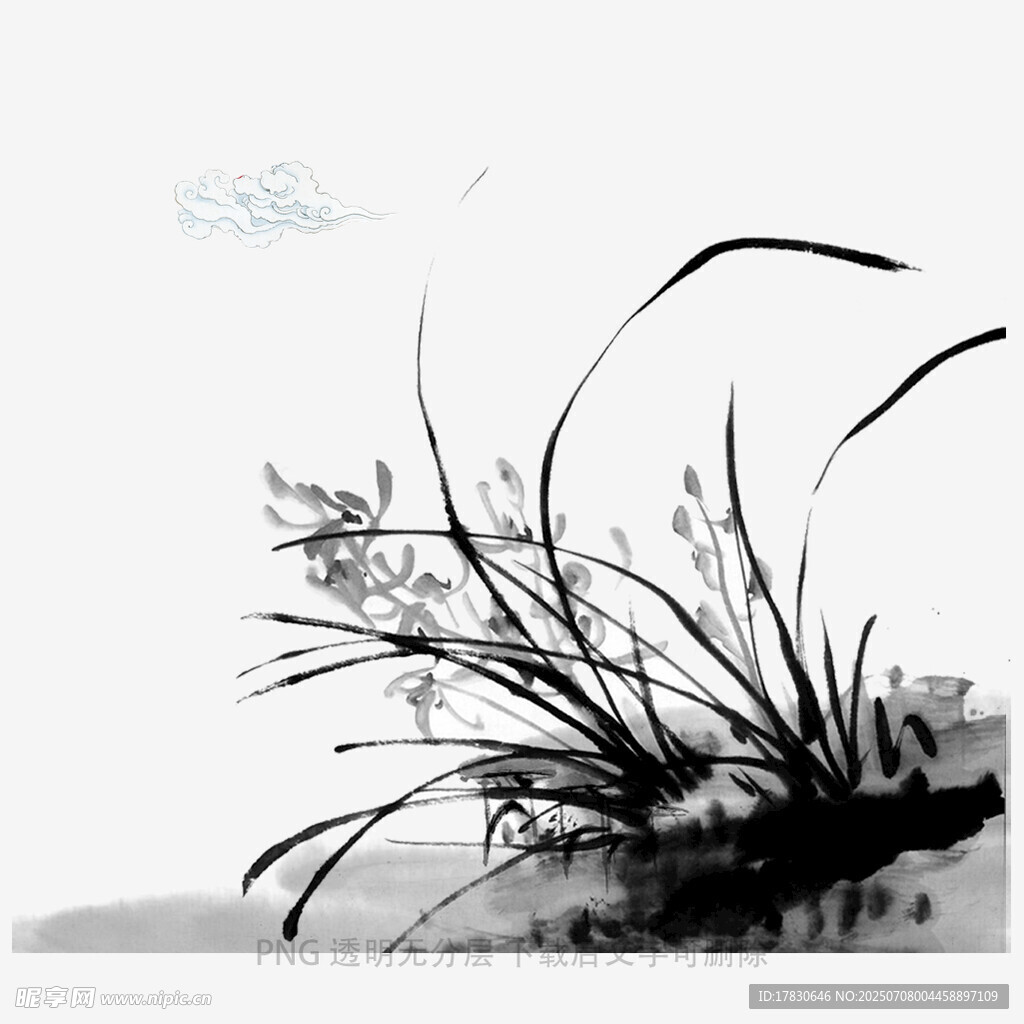兰花