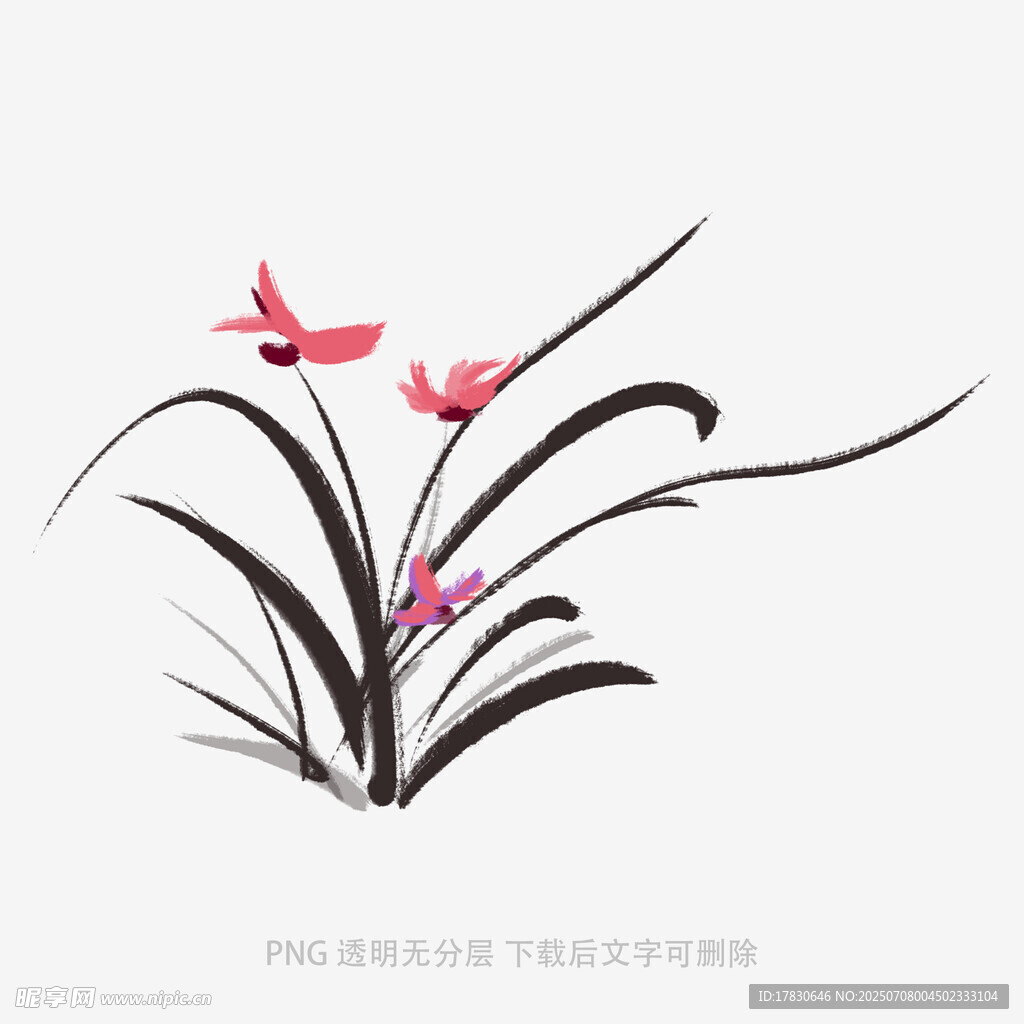 兰花设计图__PSD分层素材_PSD分层素材_设计图库_昵图网