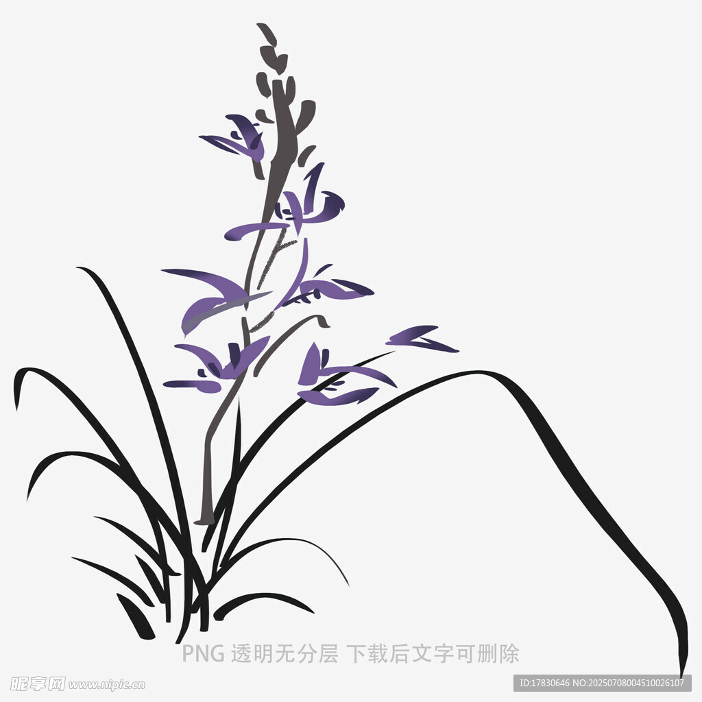 兰花