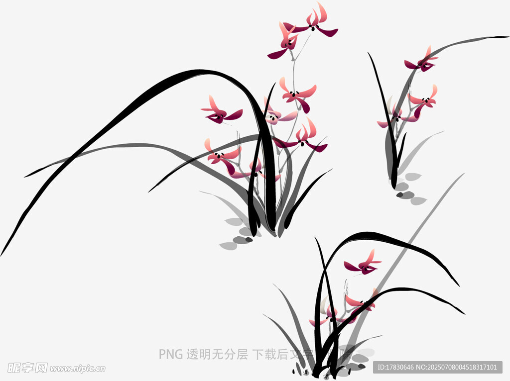 兰花