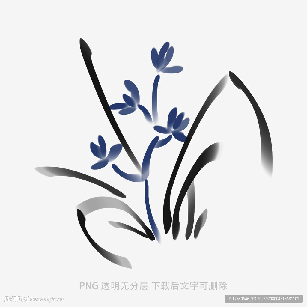 兰花