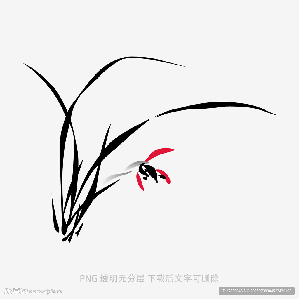 兰花