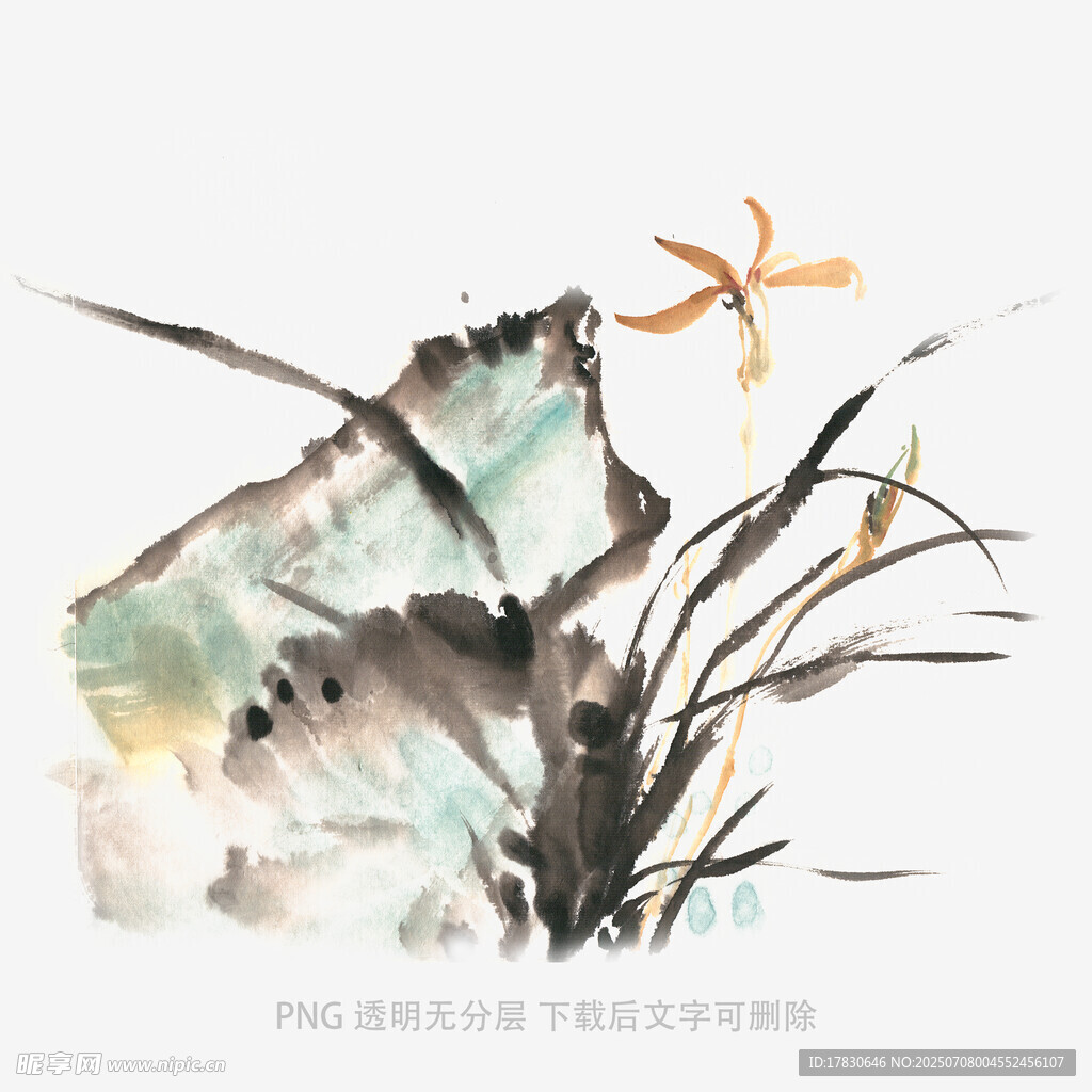 兰花