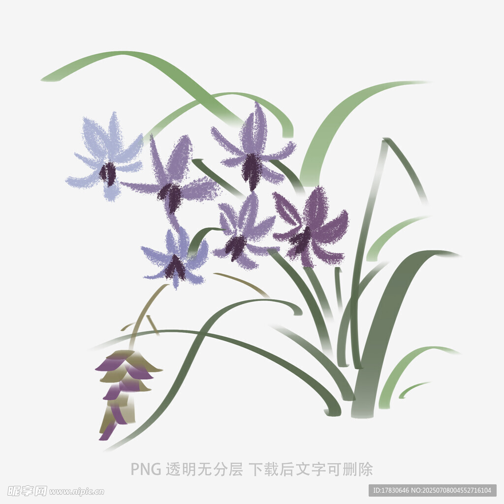 兰花