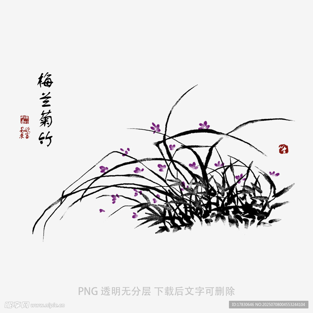 兰花