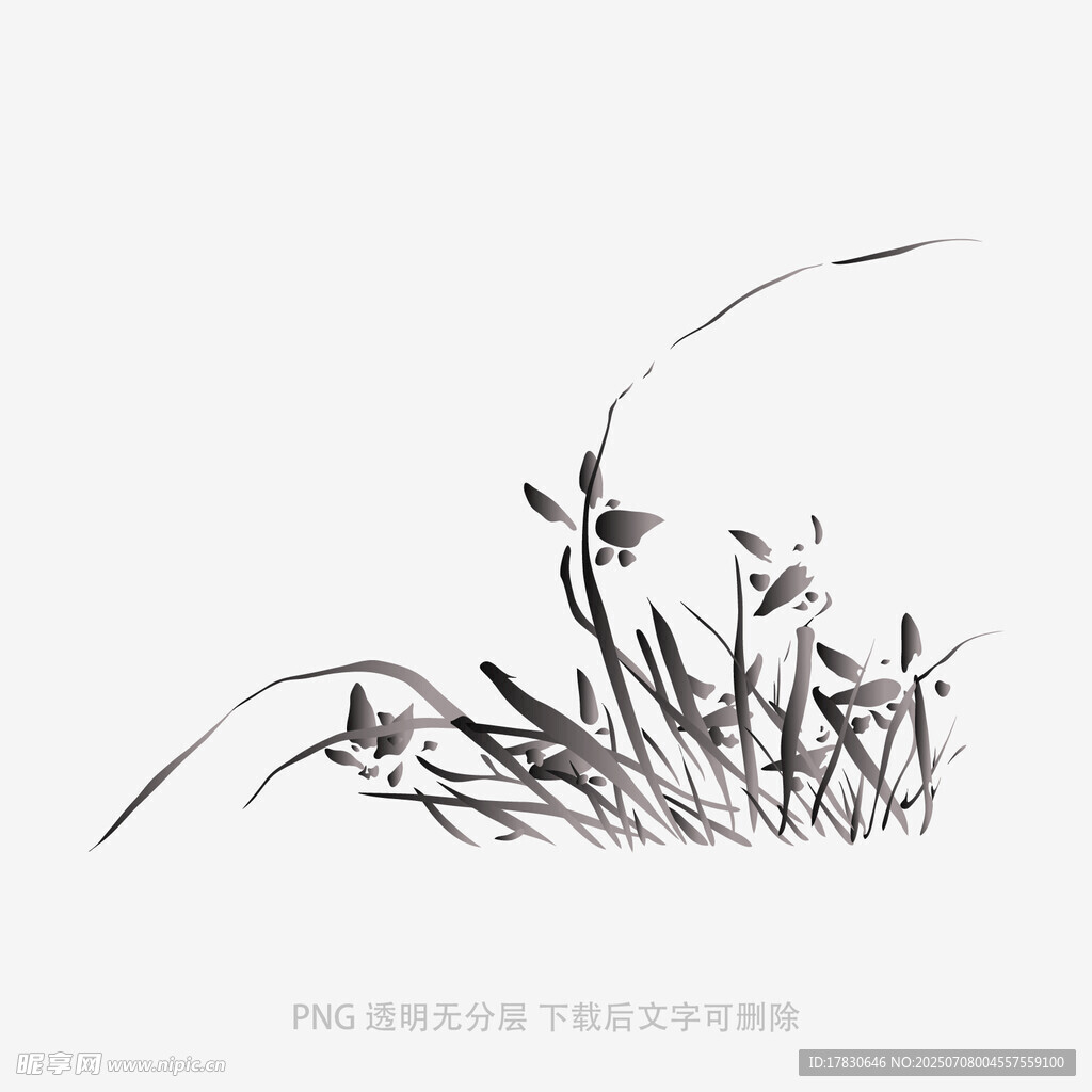 兰花