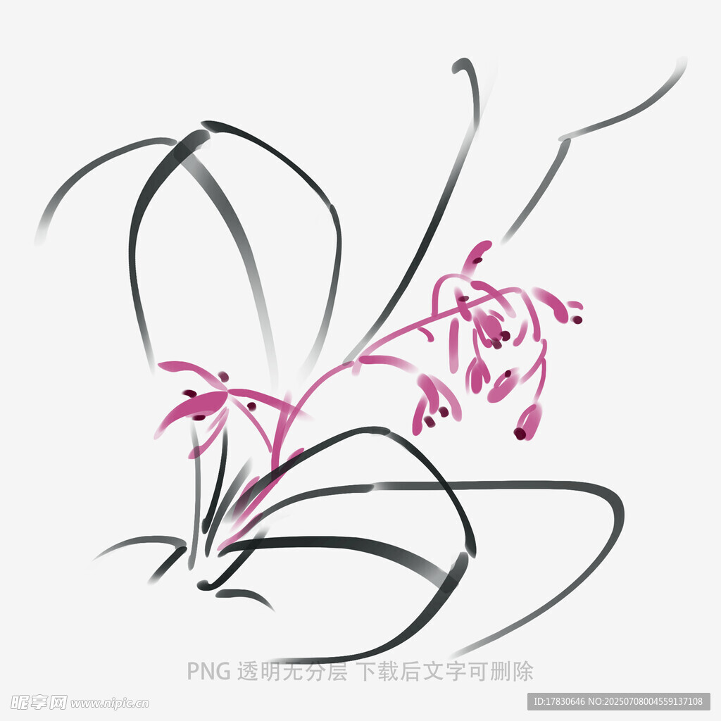 兰花