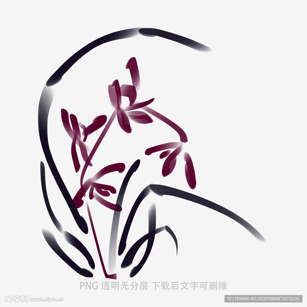 兰花