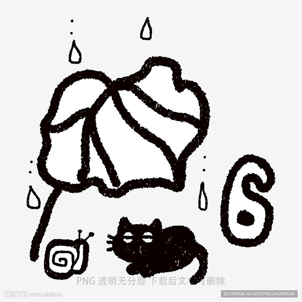 雨中荷叶下的猫咪